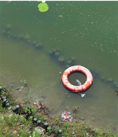 公園游玩 景觀園林 公園文明
