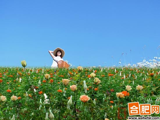 生態旅游