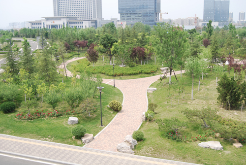 濟南奧體中心 景觀設(shè)計 施工圖設(shè)計