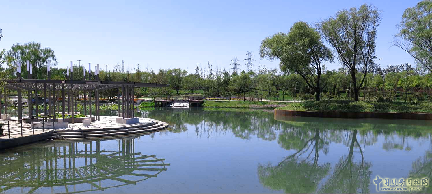 北京園林院張新宇董事長(zhǎng)論海綿城市與風(fēng)景園林