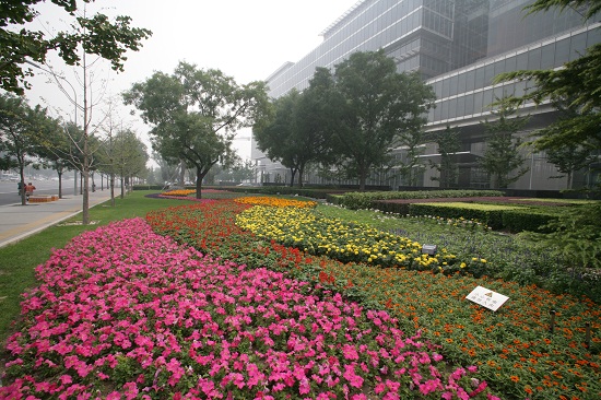 長安街建國路景觀大道規(guī)劃建設