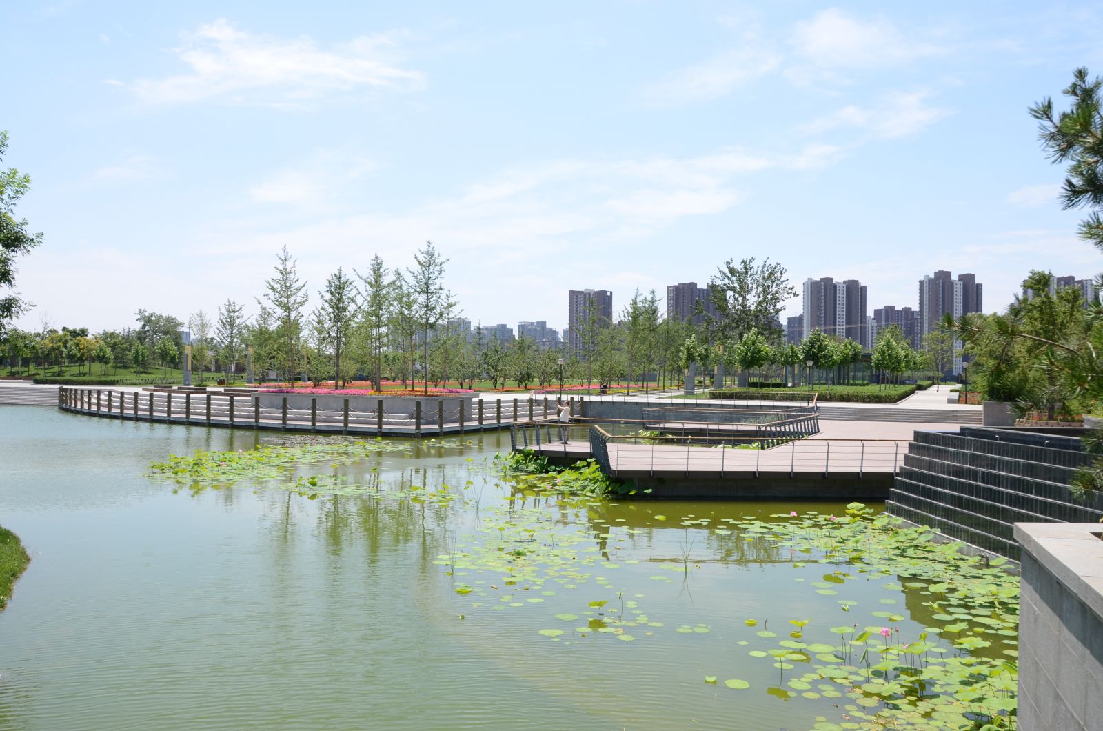 北京大望京公園規(guī)劃設(shè)計(jì)賞析
