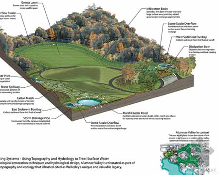 美國Alumnae山谷改造