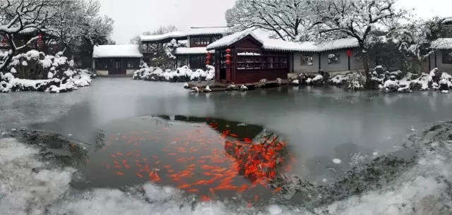同里古鎮(zhèn)指望這個(gè)園子活著——退思園