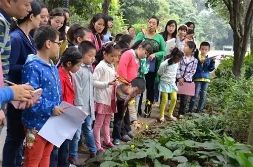 如何讓植物成為兒童活動場地的主角？