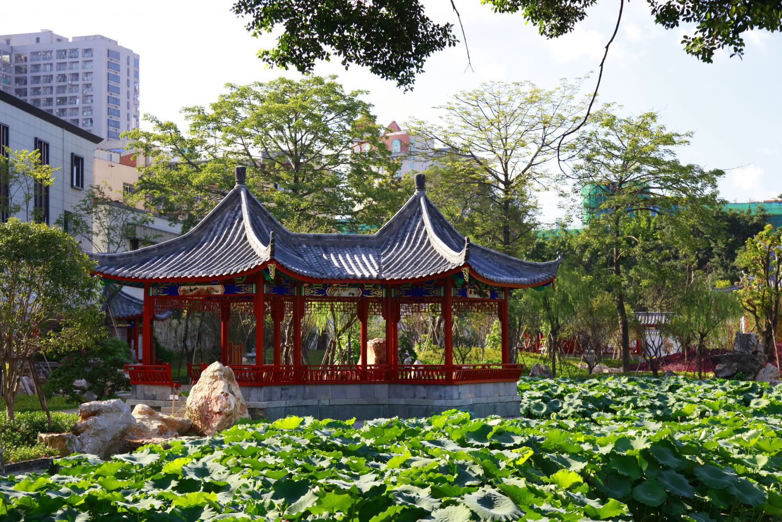 2016園冶杯專業(yè)獎參賽項目：福州南公園景觀工程設(shè)計