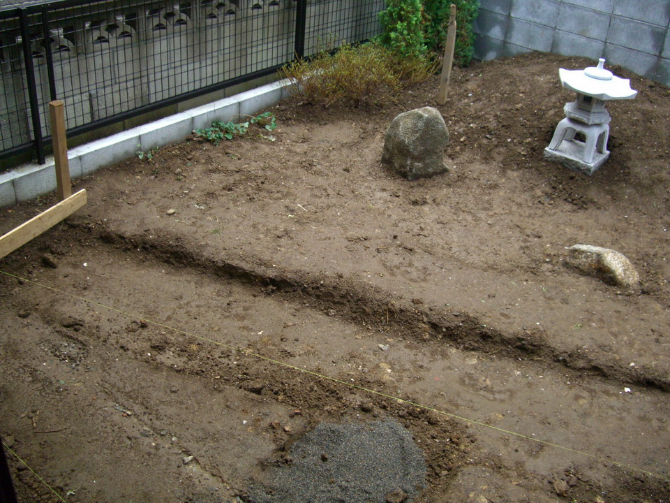 湖北天龍灣國家濕地公園首現(xiàn)蒼鷺