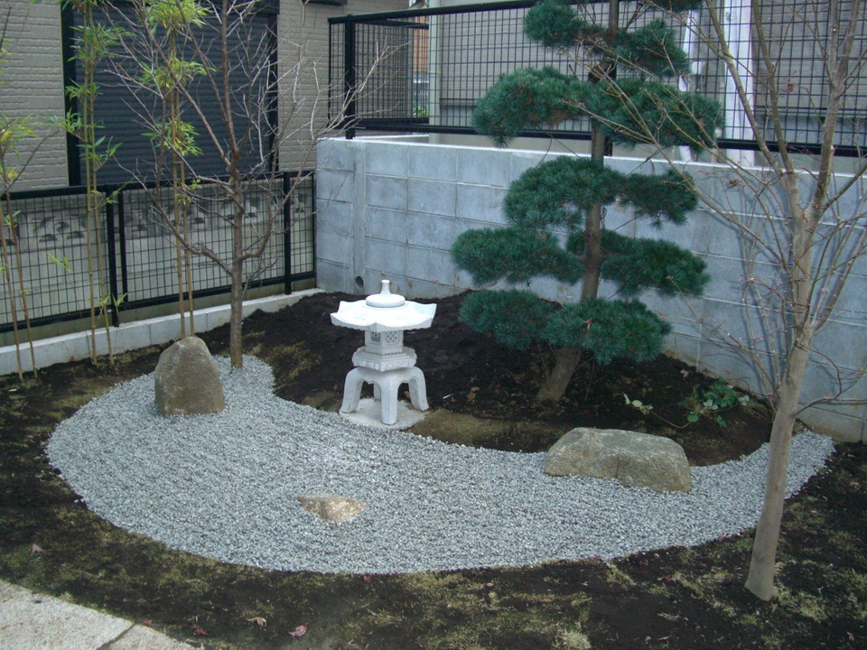 湖北天龍灣國家濕地公園首現(xiàn)蒼鷺