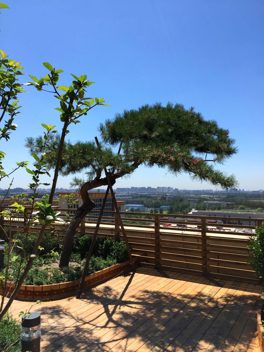 2016園冶杯專業(yè)獎參賽項目：北京大學(xué)國際醫(yī)院景觀工程設(shè)計