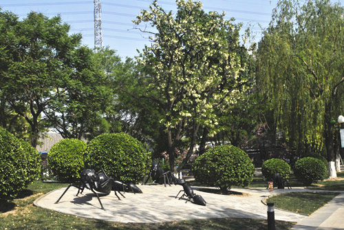 中國風(fēng)景園林網(wǎng)考察世界花卉大觀園