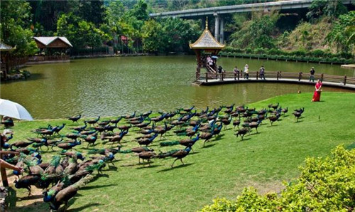 國內(nèi)最美的森林公園你去過幾個？