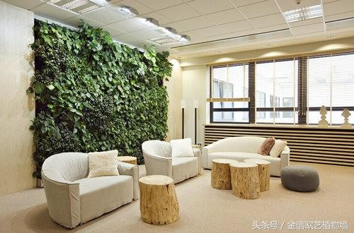 立體綠化植物墻為何這么受歡迎？