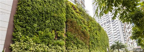 立體綠化植物墻為何這么受歡迎？