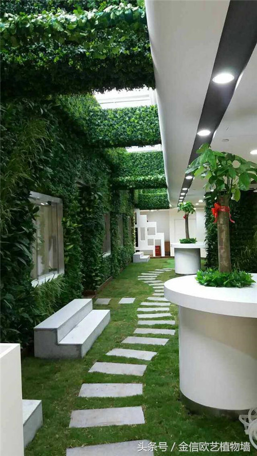 立體綠化植物墻為何這么受歡迎？