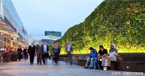 立體綠化植物墻為何這么受歡迎？