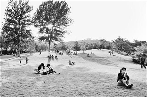 裸露礦山變身山體公園