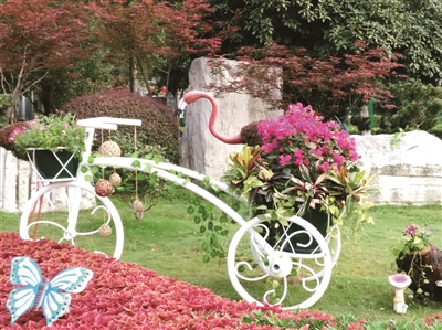 花境微景觀扮靚南京城市街頭