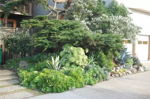 精美絕倫的多肉植物園林景觀美不勝收！