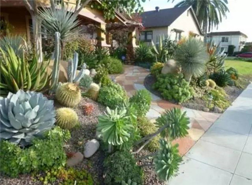 精美絕倫的多肉植物園林景觀美不勝收！