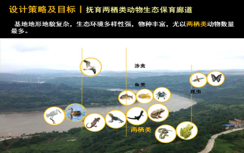 專業(yè)獎(jiǎng)：金海灣公園峽江風(fēng)貌展示區(qū)規(guī)劃設(shè)計(jì)