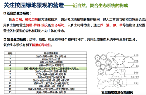 李雄：如何發揮風景園林在綠色校園營造中的作用？
