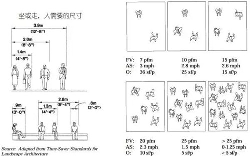 郭敏：城市街道設計忽視道路使用者