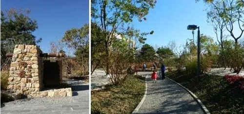 北京園林院趙曉璐：“城市森林”概念初探