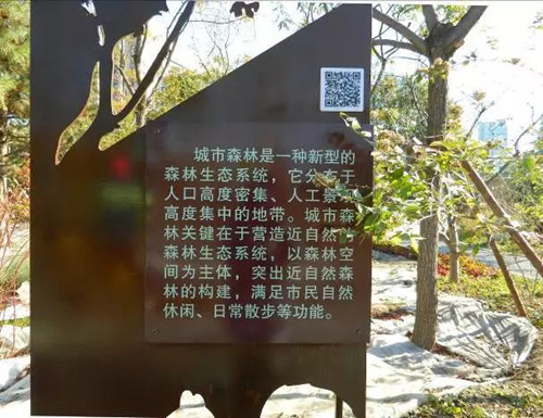 北京園林院趙曉璐：“城市森林”概念初探