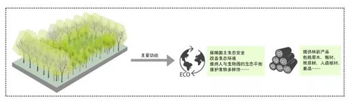 北京園林院趙曉璐：“城市森林”概念初探