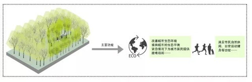 北京園林院趙曉璐：“城市森林”概念初探