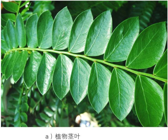 天然景區建筑形態與景區地形地貌共生設計