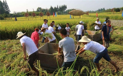 關(guān)于休閑農(nóng)業(yè)的盈利模式？