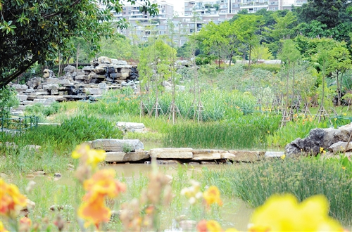 南寧：城市海綿化改造打造人水和諧新景