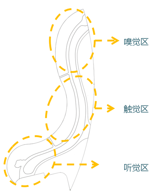 河北省第二屆園博會花境創(chuàng)意作品——尋光者