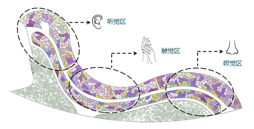 河北省第二屆園博會花境創(chuàng)意作品——尋光者