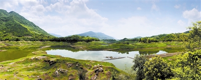 重慶開州：三峽水庫消落帶建濕地公園