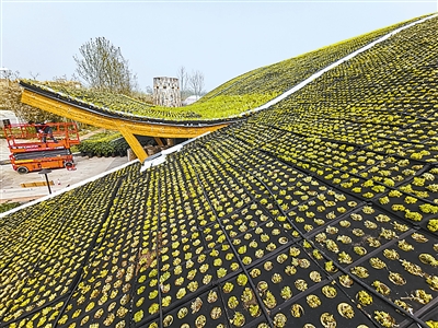 2019年北京世園會國際竹藤組織園魅力無限