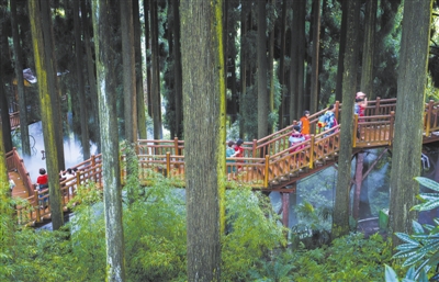 尋找最佳森林健康養(yǎng)生地