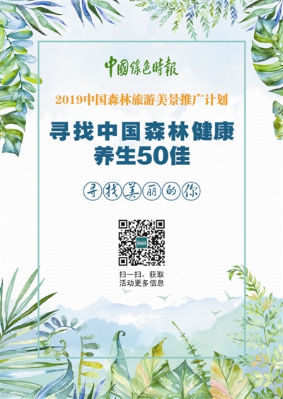 尋找最佳森林健康養(yǎng)生地