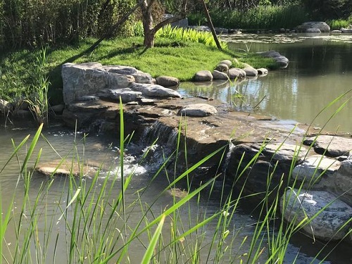 北京首個(gè)小微濕地野意盎然
