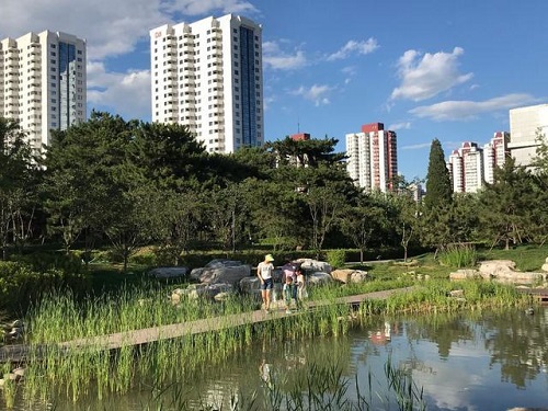 北京首個(gè)小微濕地野意盎然