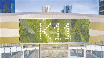 瞄準“第五空間” 見縫插針添綠