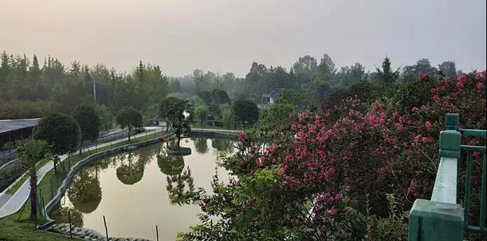 九月到溫江，與園林50強(qiáng)來(lái)一場(chǎng)火花四濺的碰撞