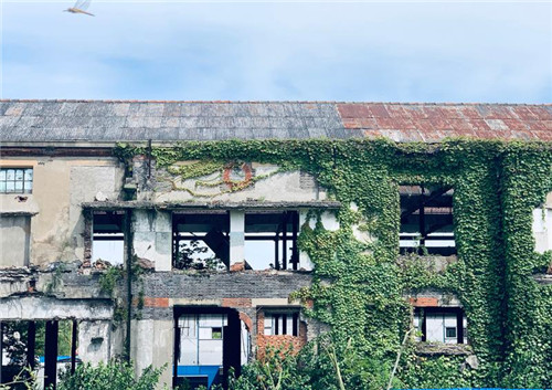 上海:楊浦濱江沉睡百年工業(yè)遺存走出歷史塵埃