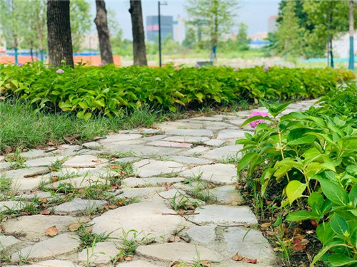 上海:楊浦濱江沉睡百年工業(yè)遺存走出歷史塵埃