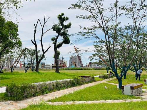 上海:楊浦濱江沉睡百年工業(yè)遺存走出歷史塵埃