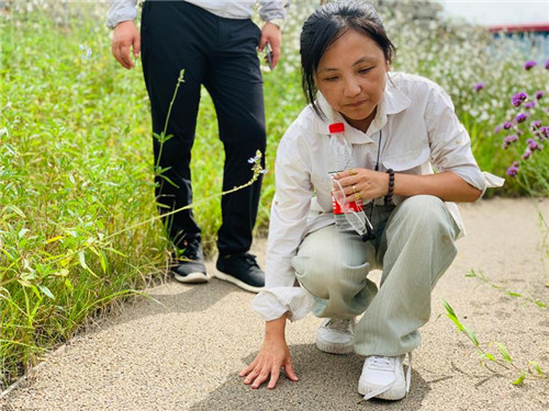 上海:楊浦濱江沉睡百年工業(yè)遺存走出歷史塵埃