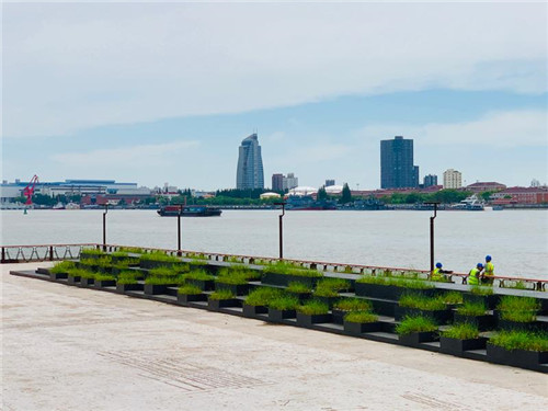 上海:楊浦濱江沉睡百年工業(yè)遺存走出歷史塵埃