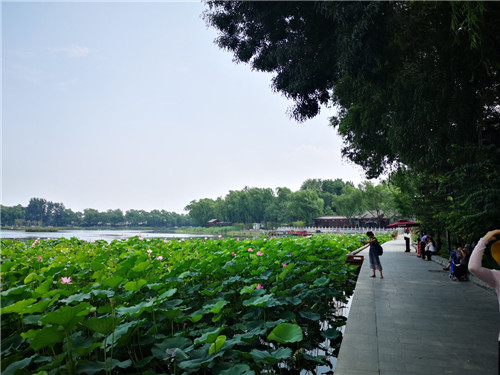 北京推出十條主題線路！帶您流連京城新景觀