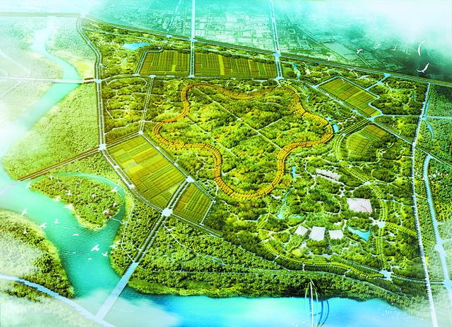 北京城市副中心5.5公里星形園路全線貫通，預(yù)計(jì)年底前增綠8000畝